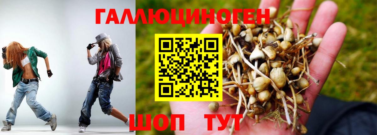 Галлюциногенные грибы Psilocybine cubensis  Вход с VPN  Галлюциногенные грибы GOLDEN TEACHER  Сокол 