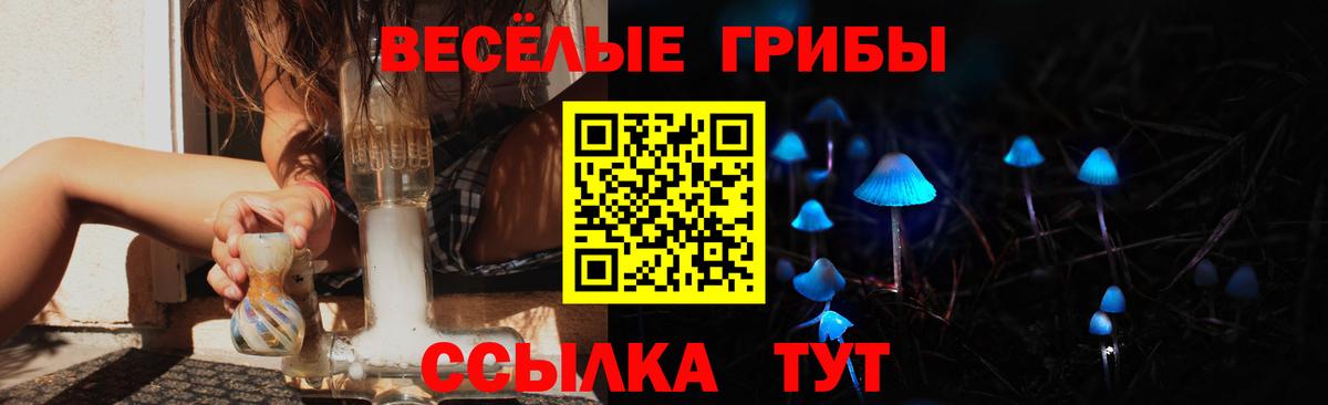 Псилоцибиновые грибы мицелий Сокол